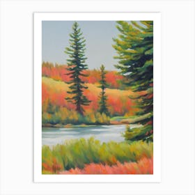 Sitka Spruce Tree Watercolour Art Print