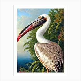Brown Pelican Haeckel Style Vintage Illustration Bird Art Print