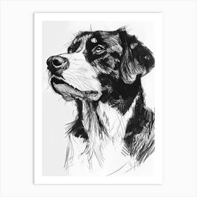 Greater Swiss Mountain Dog Line Sketch 3 Art Print