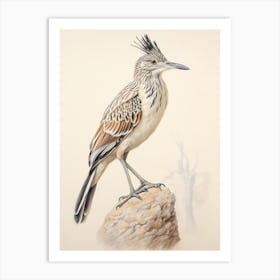 Vintage Bird Drawing Roadrunner 2 Art Print