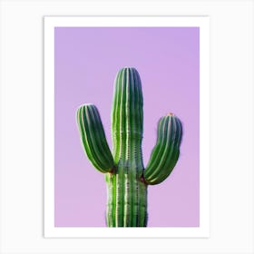 Cactus 19 Art Print