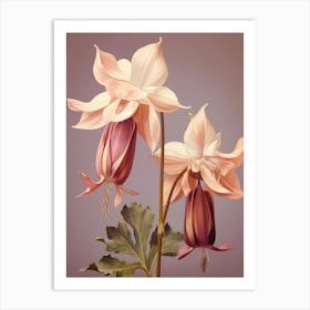 Floral Illustration Columbine 3 Art Print