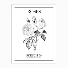 Roses Sketch 50 Poster Art Print