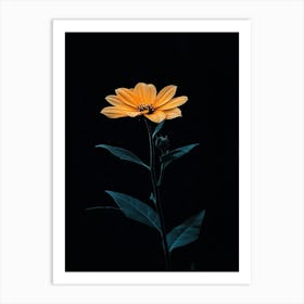 Black Flower Art Print