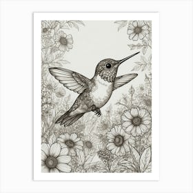 Hummingbird 50 Art Print