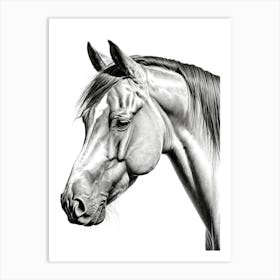 Highly Detailed Pencil Sketch Portrait of Horse with Soulful Eyes 9 Art Print