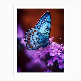 Blue Butterfly On Purple Flowers Art Print