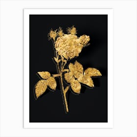 Vintage Pink Agatha Rose Botanical in Gold on Black n.0384 Art Print