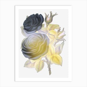 Black Roses Art Print