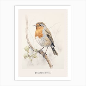Vintage Bird Drawing European Robin 2 Poster Art Print