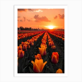 Sunset Over Tulips Affiche