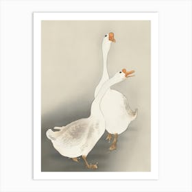 Two Geese Art Print