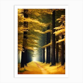 Path In The Forest 2 Art Print