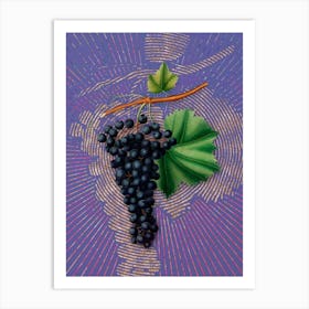 Vintage Berzemina Grape Botanical Illustration on Veri Peri n.0569 Art Print