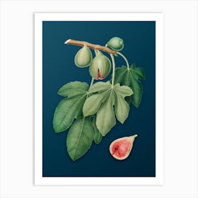 Vintage Fig Botanical Art on Teal Blue Art Print