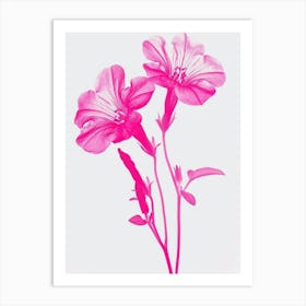 Hot Pink Petunia Art Print