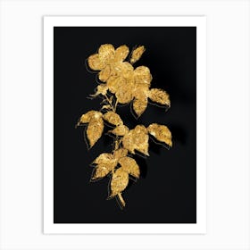 Vintage Tea Scented Roses Bloom Botanical in Gold on Black n.0157 Art Print