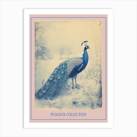 Cyanotype Inspired Peacock Snow Scene 3 Poster Art Print