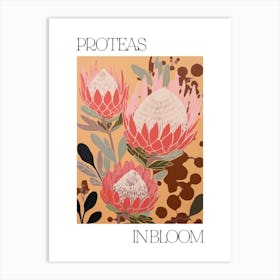 Proteas In Bloom Flowers Bold Illustration 4 Art Print