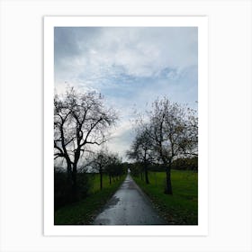 Empty Road With Trees Art Print