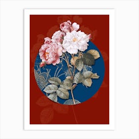 Vintage Botanical Pink Damask Rose on Circle Blue on Red n.0143 Art Print