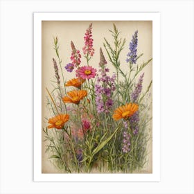 Wildflowers 2 Art Print