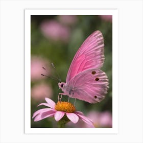 Pink Butterfly 1 Art Print