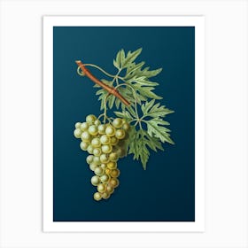 Vintage Grape Vine Botanical Art on Teal Blue n.0329 Art Print