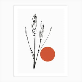 Sorghum Art Print