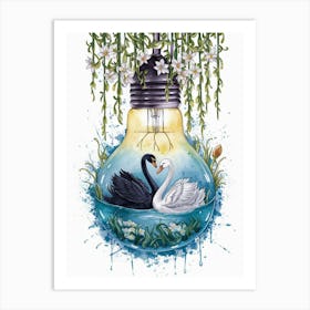 Swans In Water 2 Art Print