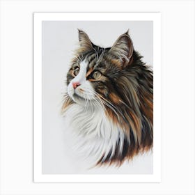 Norwegian Forest Cat Painting 4 Art Print