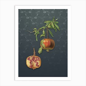 Vintage Pomegranate Botanical on Slate Gray Pattern n.0995 Art Print