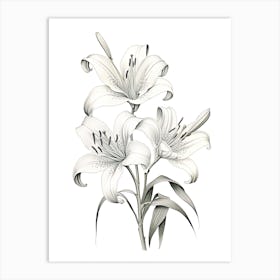 Lilies Flower Vintage Botanical 1 Art Print