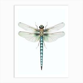 Common Green Darner Anax Junius 5 Art Print