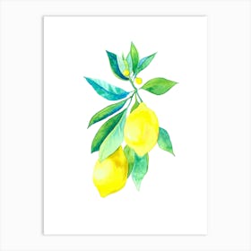 Watercolor Lemons On A Branch Art Print