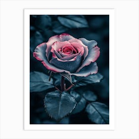 Dark Rose 115 Art Print