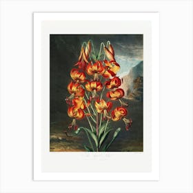 Vintage Botanical Temple Of Flora _2476847 Art Print