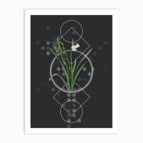 Vintage Summer Snowflake Botanical with Geometric Line Motif and Dot Pattern n.0295 Art Print