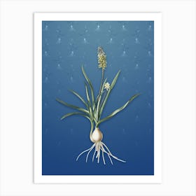 Vintage Muscari Ambrosiacum Botanical on Bahama Blue Pattern n.2291 Art Print