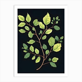 Elm Tree Branch Art Print