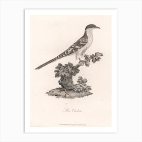 Bee Cuckoo, James Heath Art Print