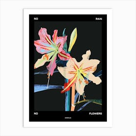 No Rain No Flowers Poster Amaryllis 5 Art Print