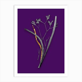 Vintage Anigozanthos Flavida Black and White Gold Leaf Floral Art on Deep Violet n.0202 Art Print