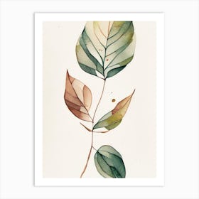 Wild Sarsaparilla Leaf Minimalist Watercolour 1 Art Print