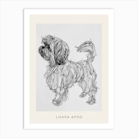 Lhasa Apso Dog Line Sketch 3 Poster Art Print
