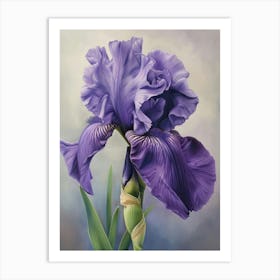 Iris Fl 127 Art Print