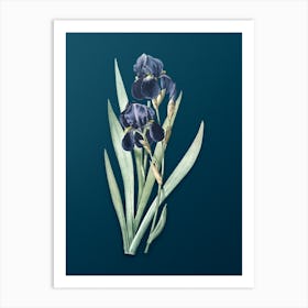 Vintage German Iris Botanical Art on Teal Blue Art Print