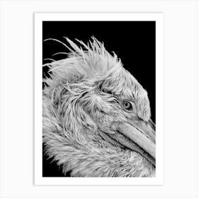 Pelican Line Art Art Print