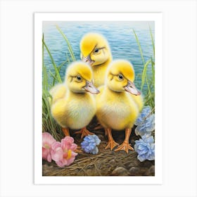 Ducks By The River Pencil Illustration 1 Art Print