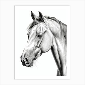 Highly Detailed Pencil Sketch Portrait of Horse with Soulful Eyes 7 Art Print